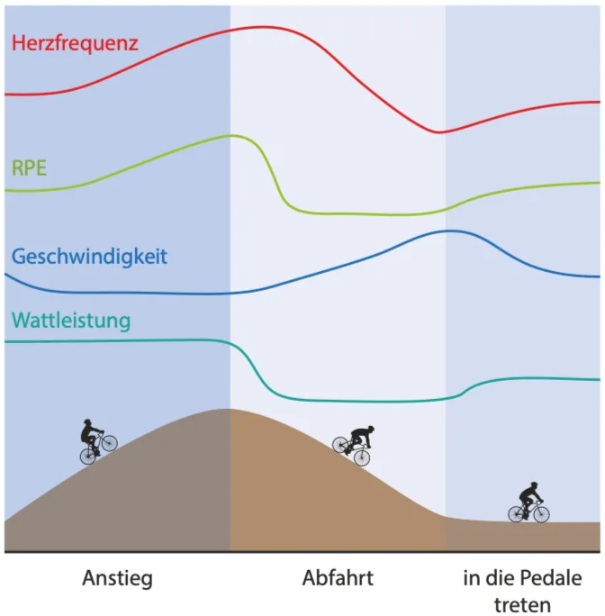 Schematic changes in heart rate, perceived exertion, speed and power during a climb, descent and resumed pedalling.