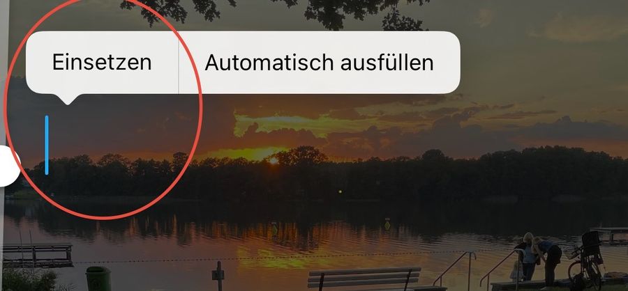 Context menu over a story image with the Paste option circled in red.