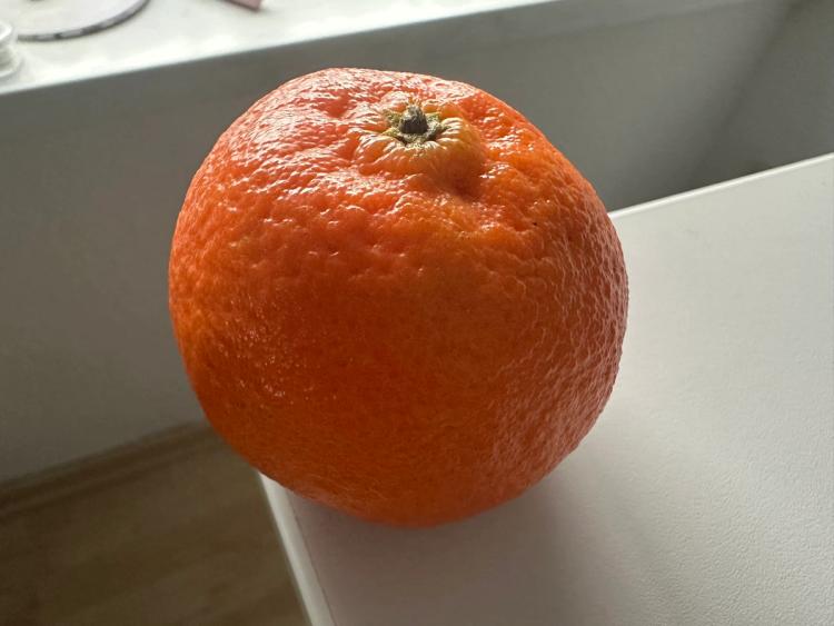 A mandarin orange perched at the corner end of my desk, tempting the dog.