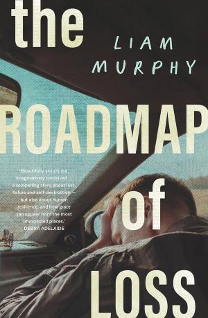 The book cover of The Roadmap of Loss by Liam Murphy