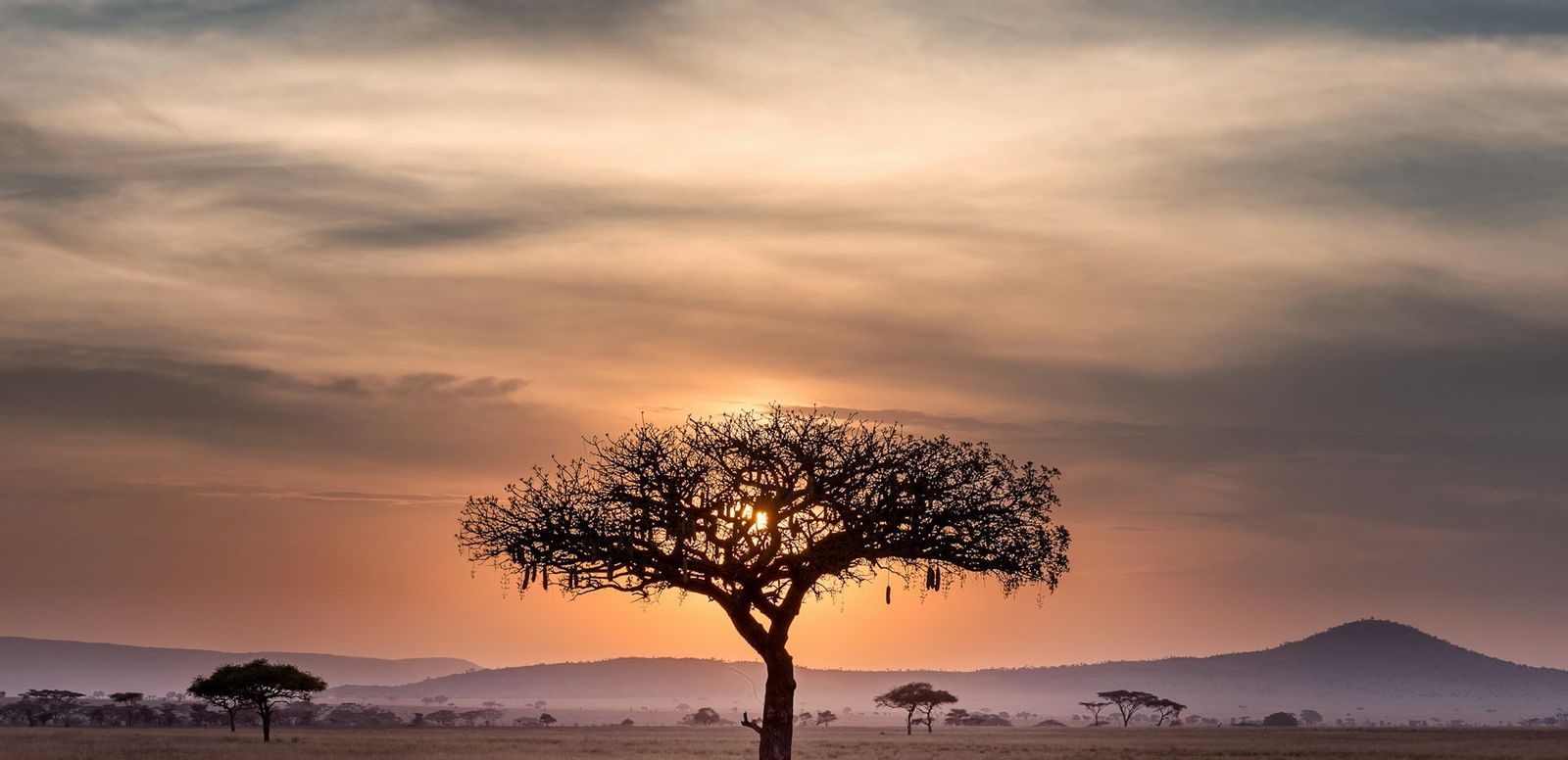 Africa