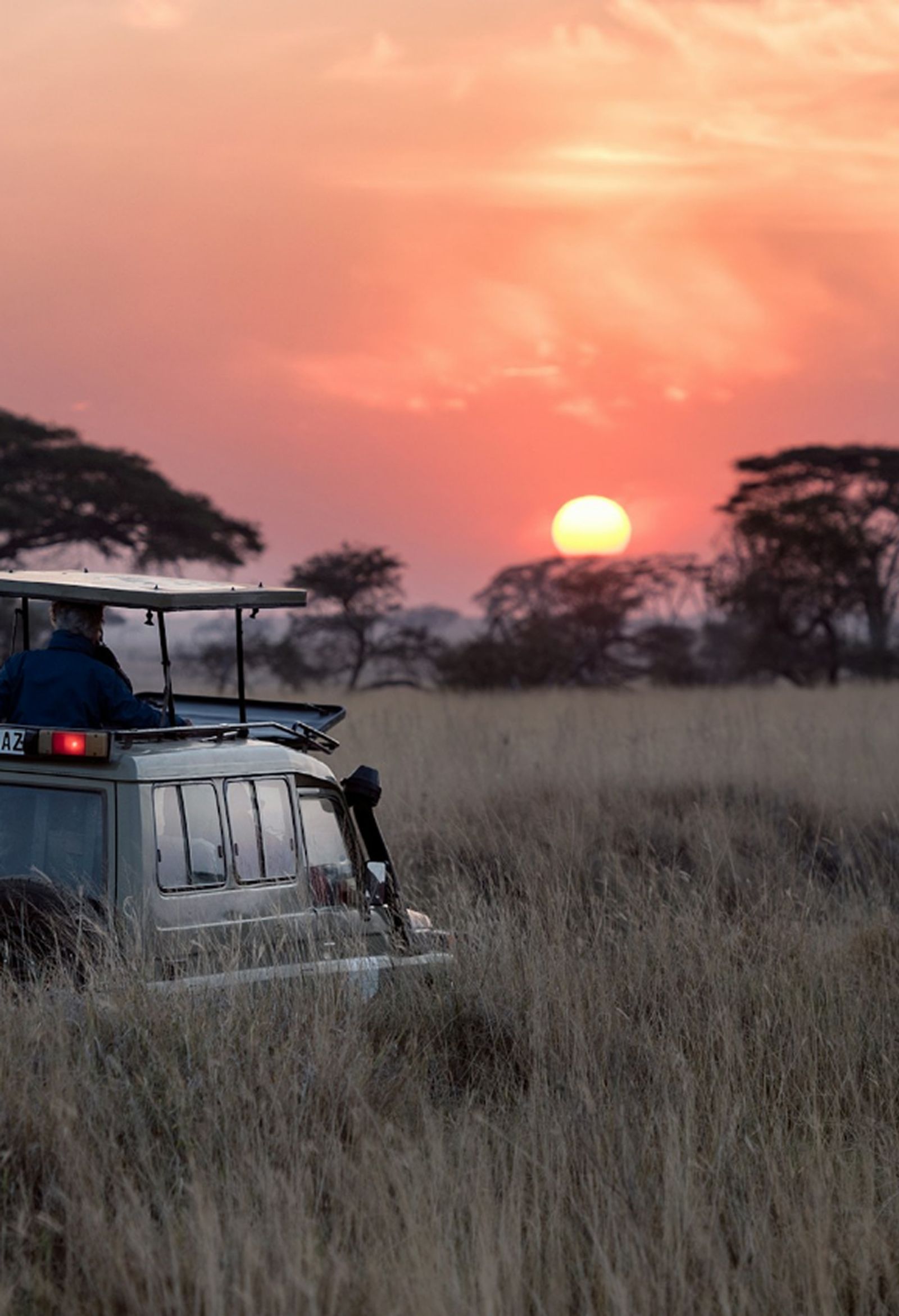 Indulge in itineraries designed by experts
