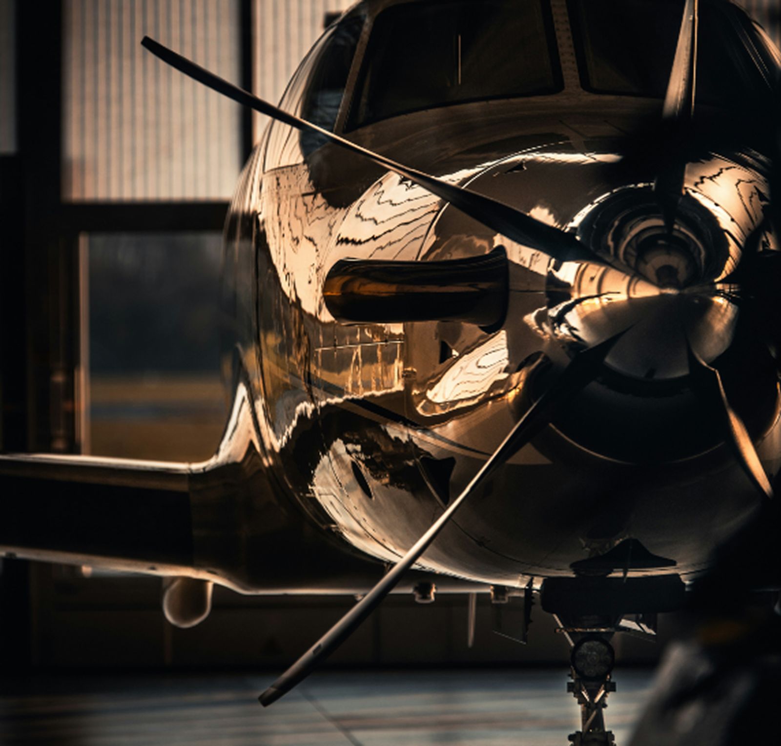 Local & International flights