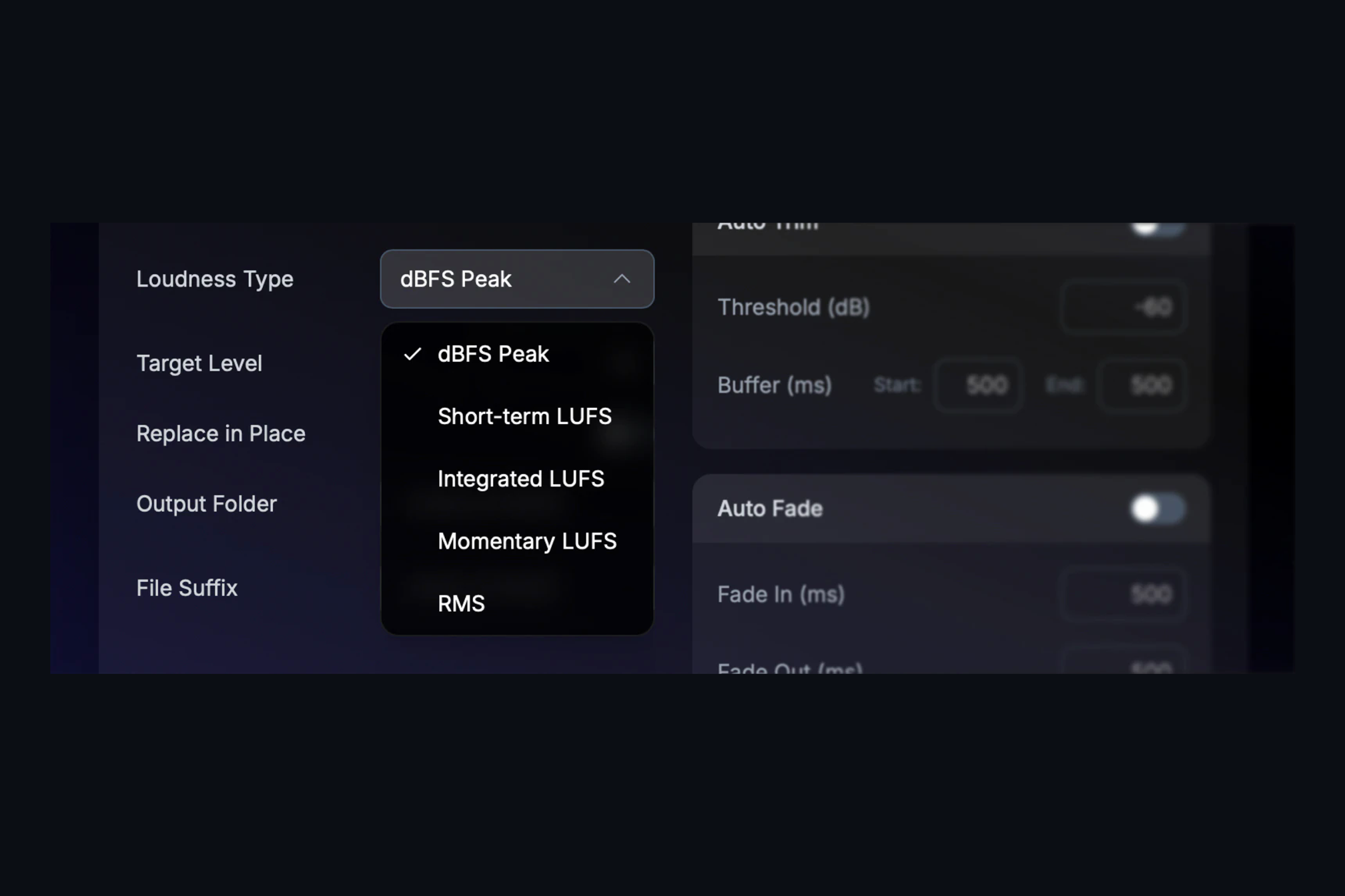 TargetLevel+ loudness type selector: dBFS peak, short-term, integrated and momentary LUFS, and RMS