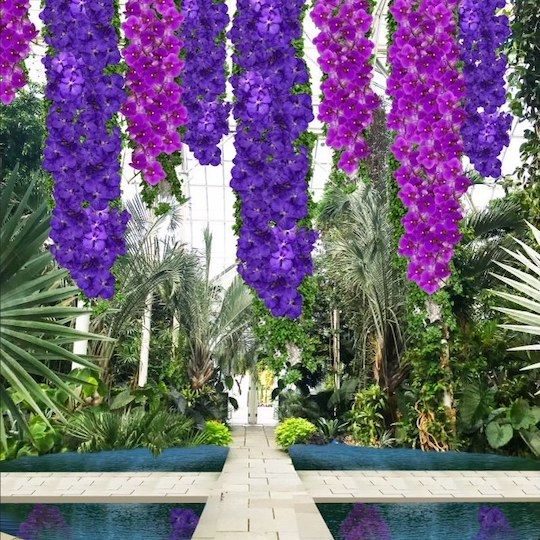 Conceptual sketch of the New York Botanical Garden's Orchid Show by Jeff Leatham