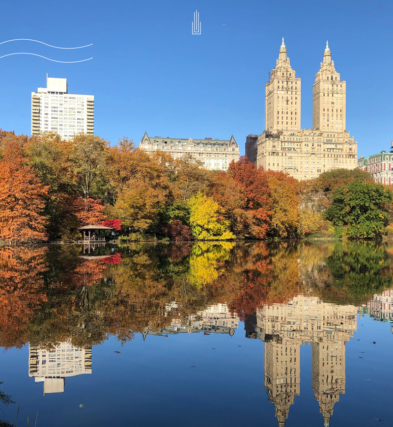 Central Park in New York in the fall by Emily Kessler