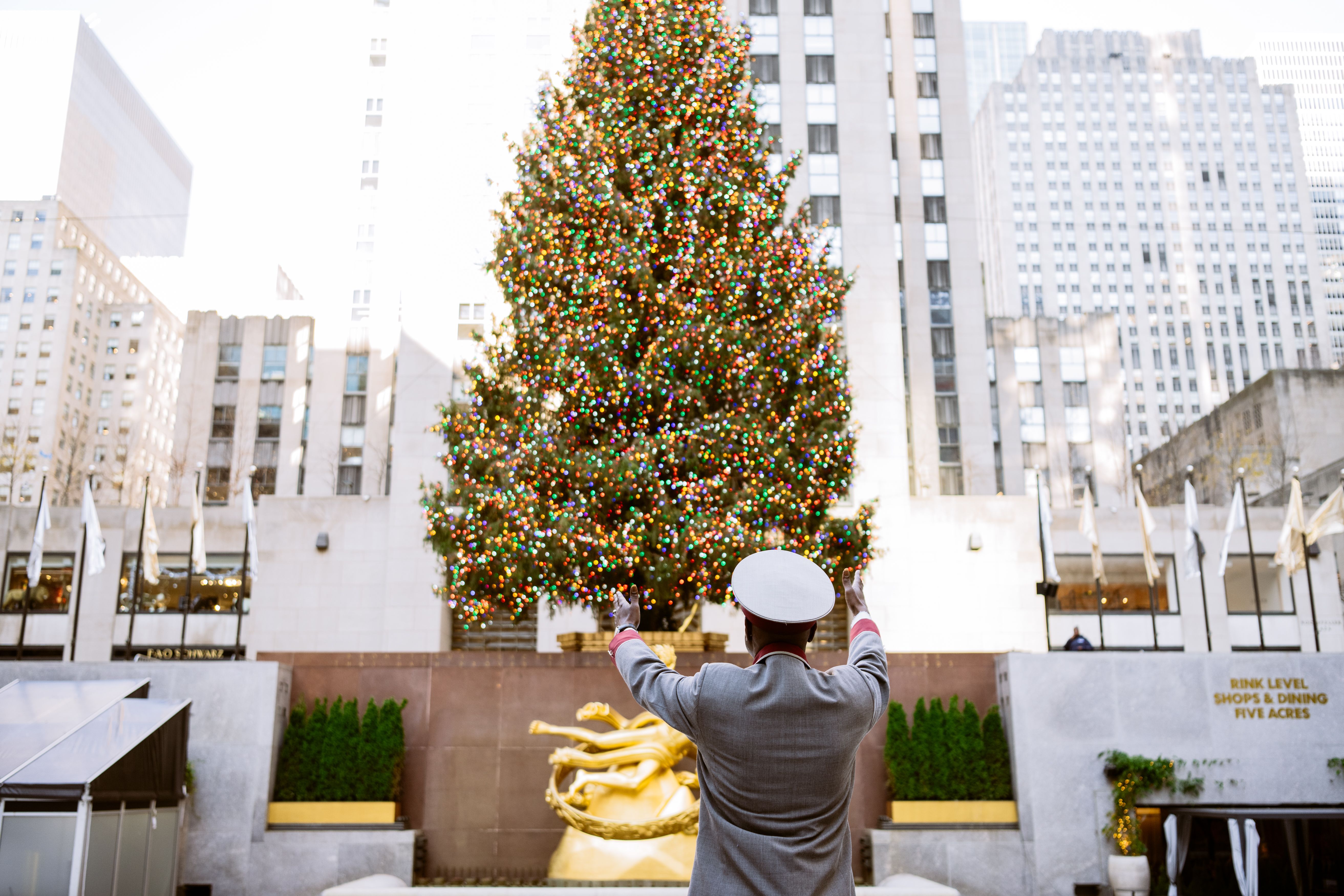 the mayor of rock center pointing to the Rock Center tree