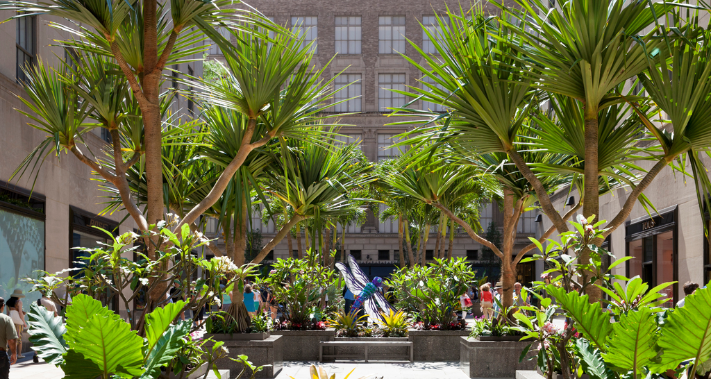 The Channel Gardens became a warm-weather paradise with the Tropicale installation