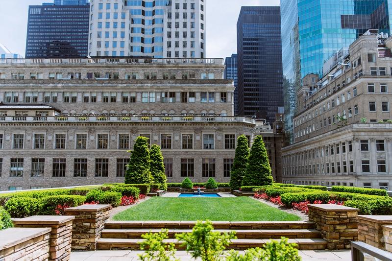 rooftop garden in the city