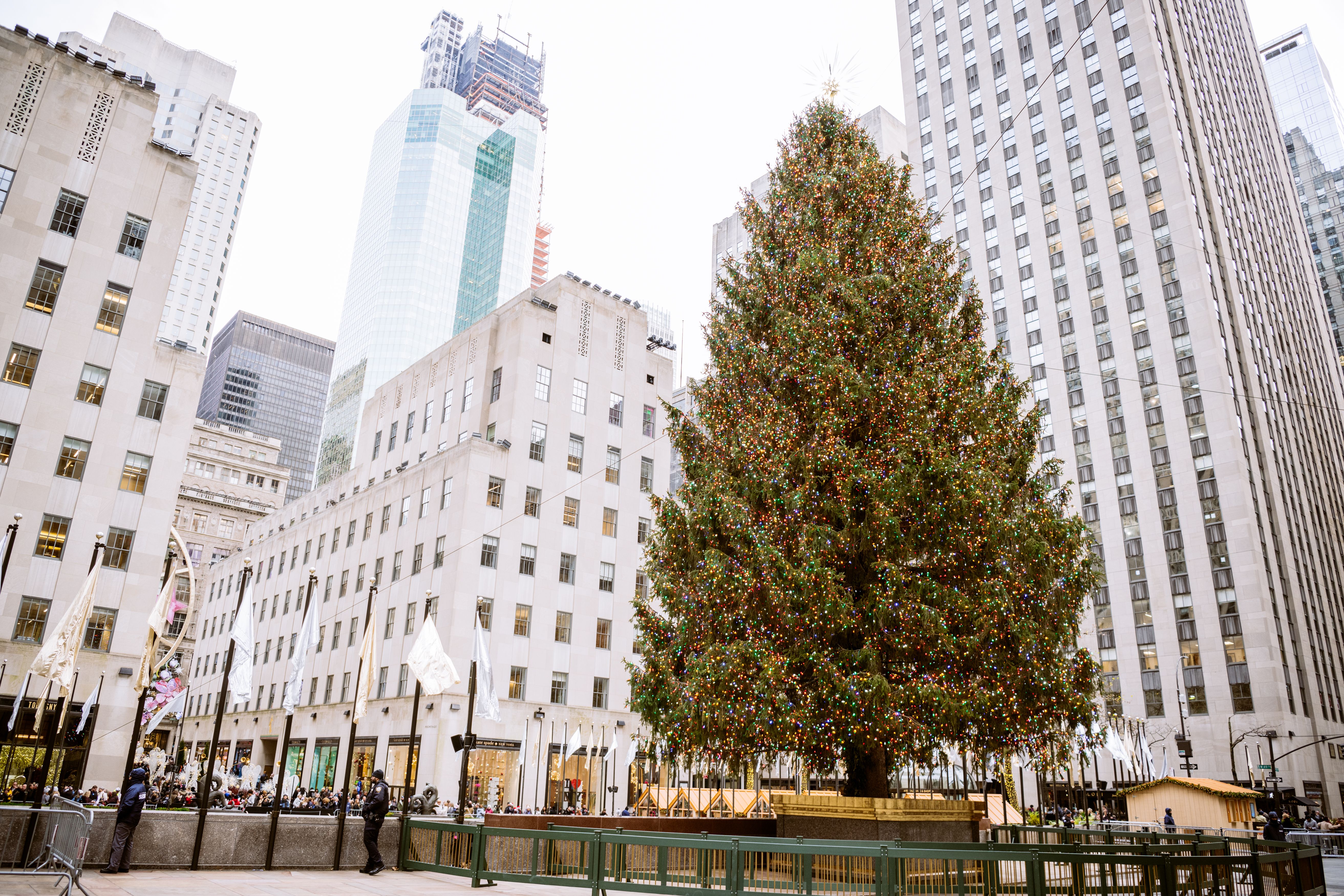 the Rockefeller Center Christmas Tree