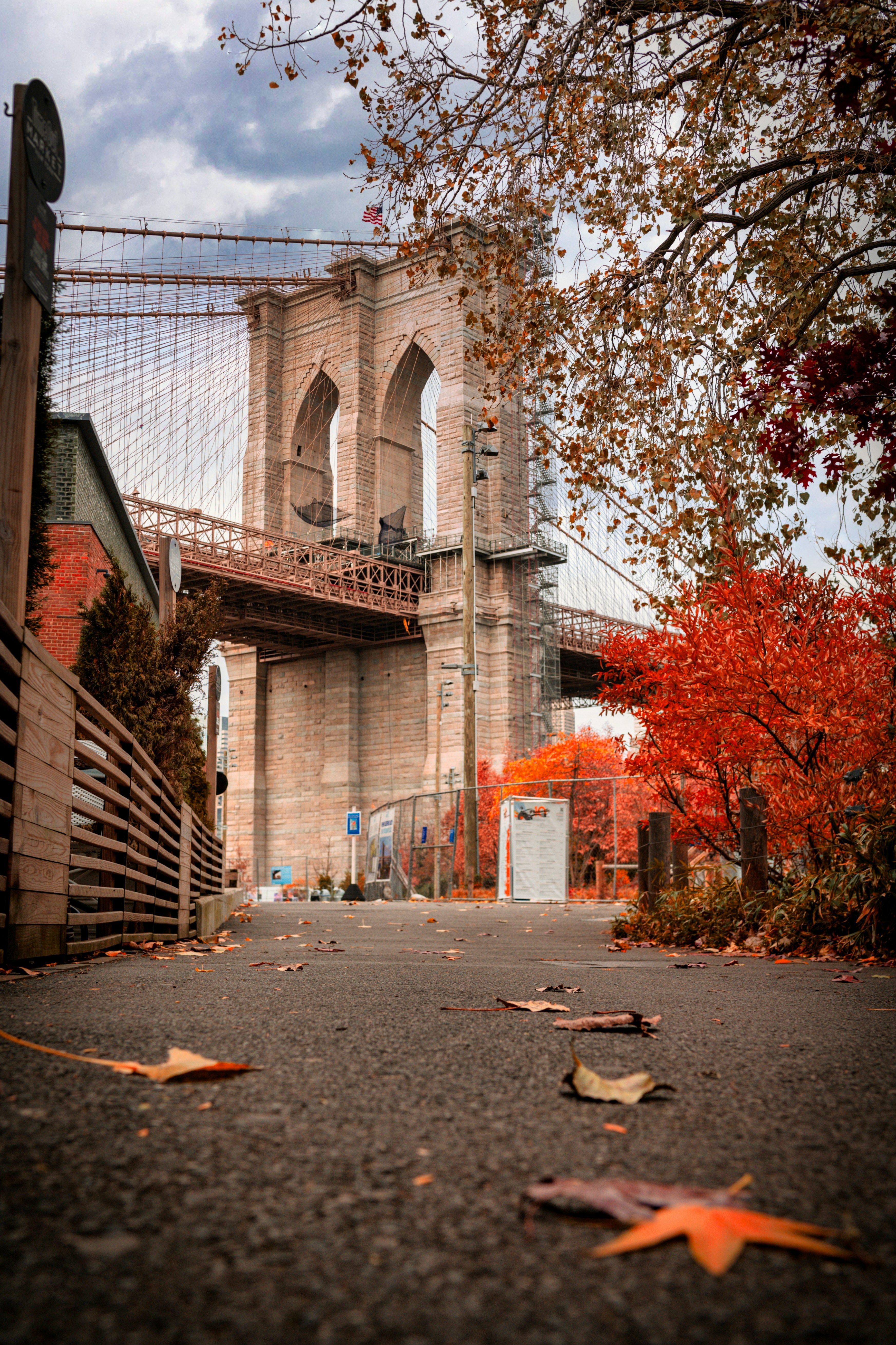 View of fallen leaves in the city with bridge in the background