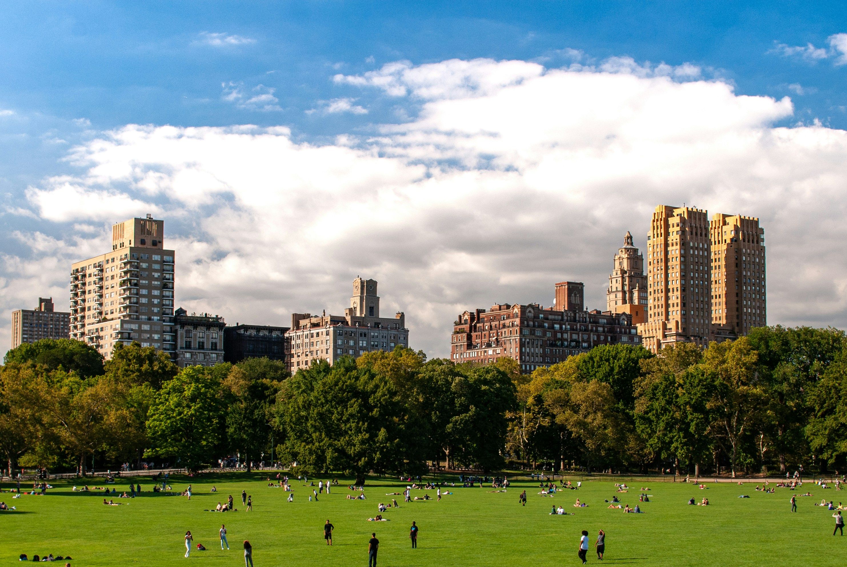 Central Park via Unsplash