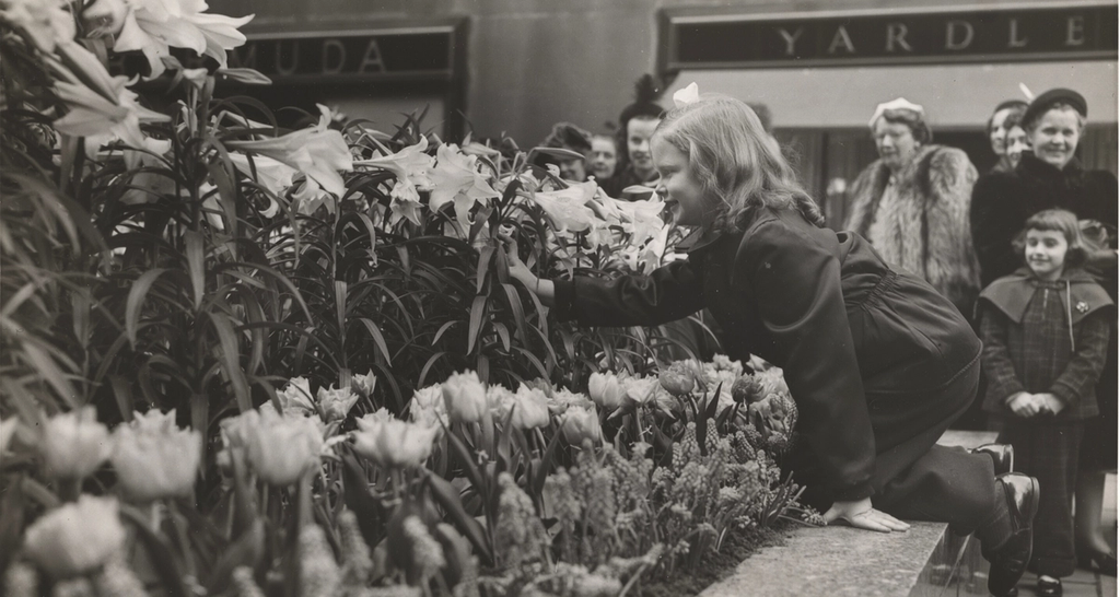 A little girl touches a display of Easter lilies and yellow tulips in the Channel Gardens. 