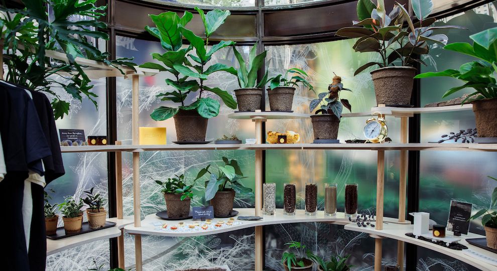 Interior of the OBSERVED pop-up store at Rockefeller Center
