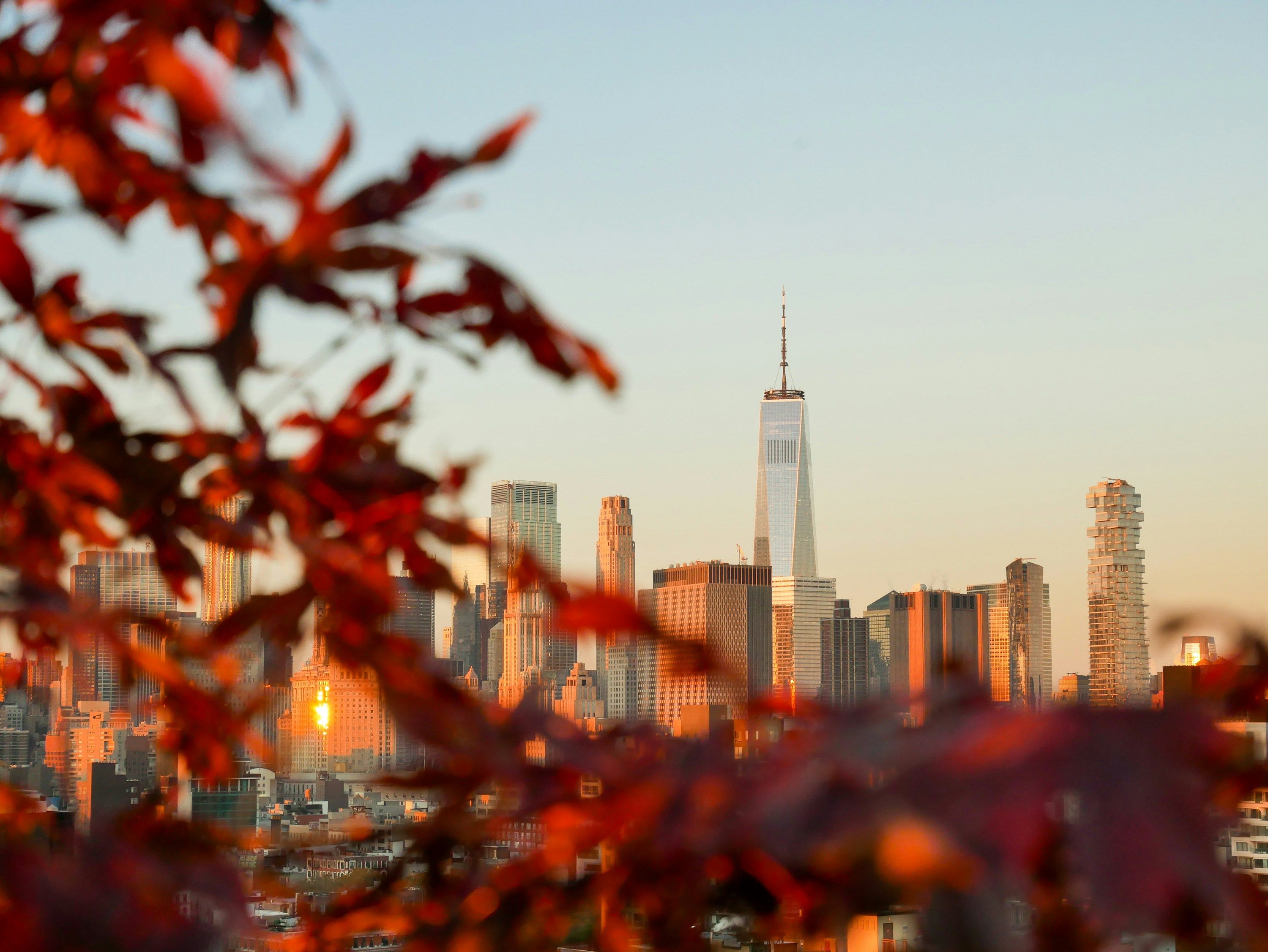 View of the Empire State Building through bright red leaves
