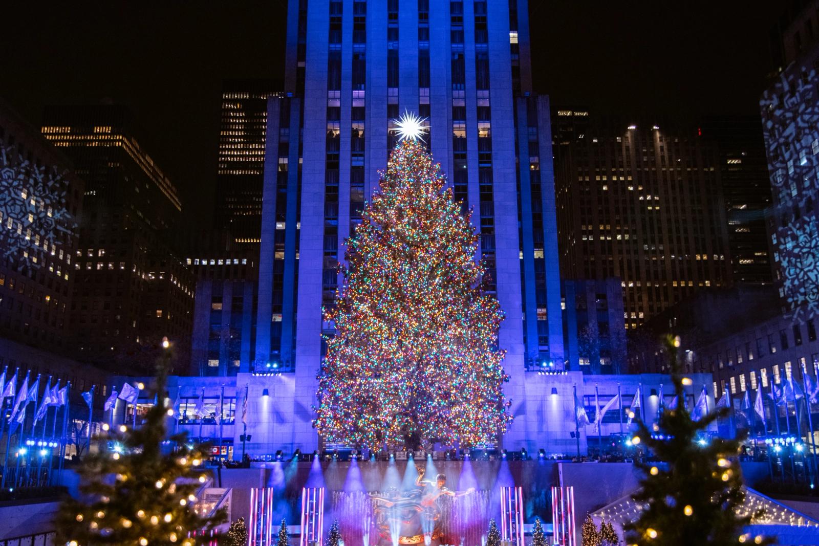 Best Christmas Trees to See in NYC