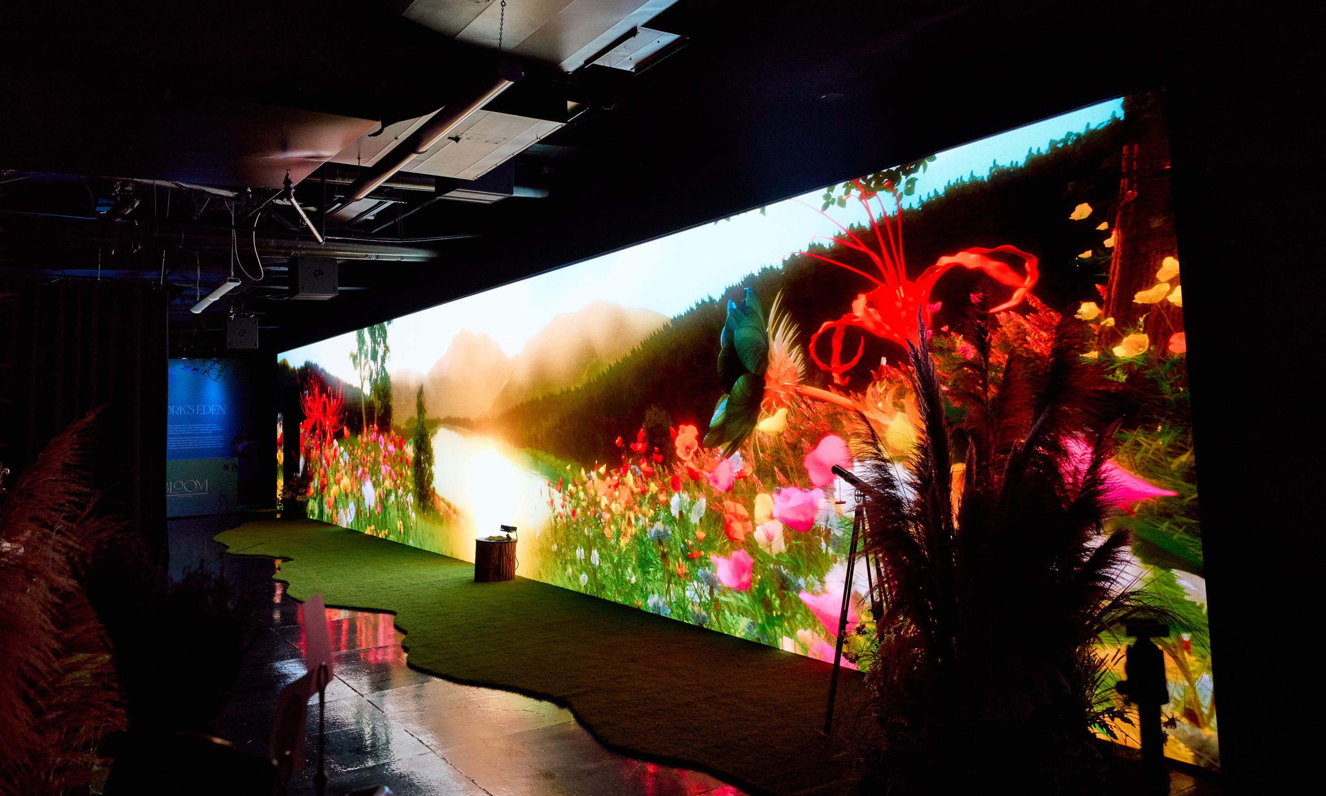 A 60-foot screen showing a video inside BLOOM