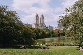 Picnic in NYC. Decorative image.