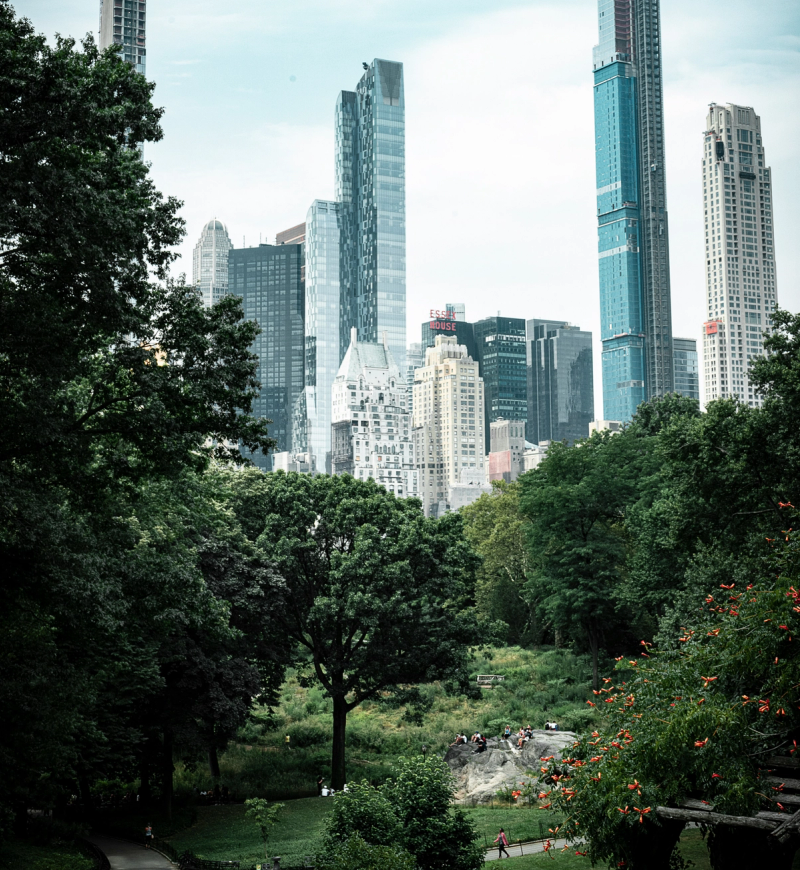 People walking through the greenery in Central Park