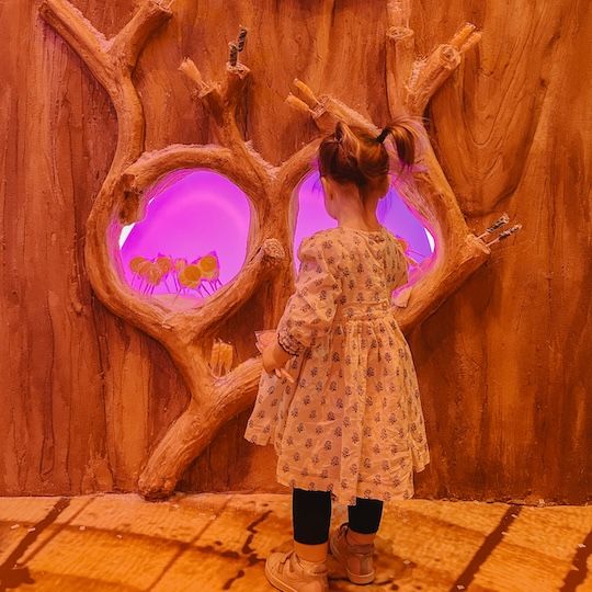 Child at The Candy Cottage of Christmas Magic