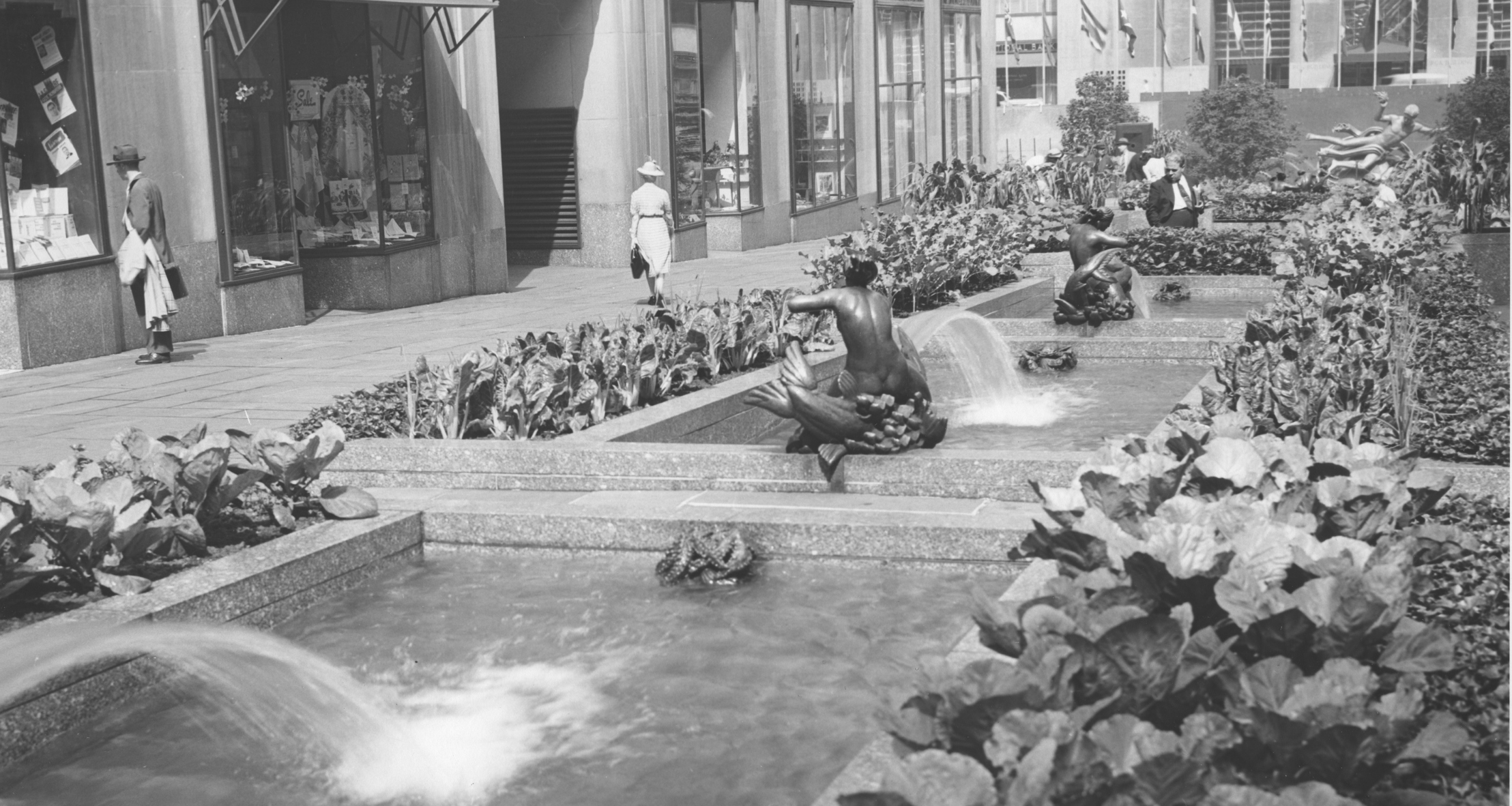 Rockefeller Center’s Victory Garden filled with  red cabbage, parsley, broccoli, onions, Swiss chard, carrots, and more in the Channel Gardens