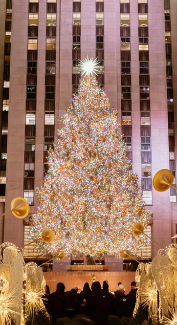 submit-your-tree
