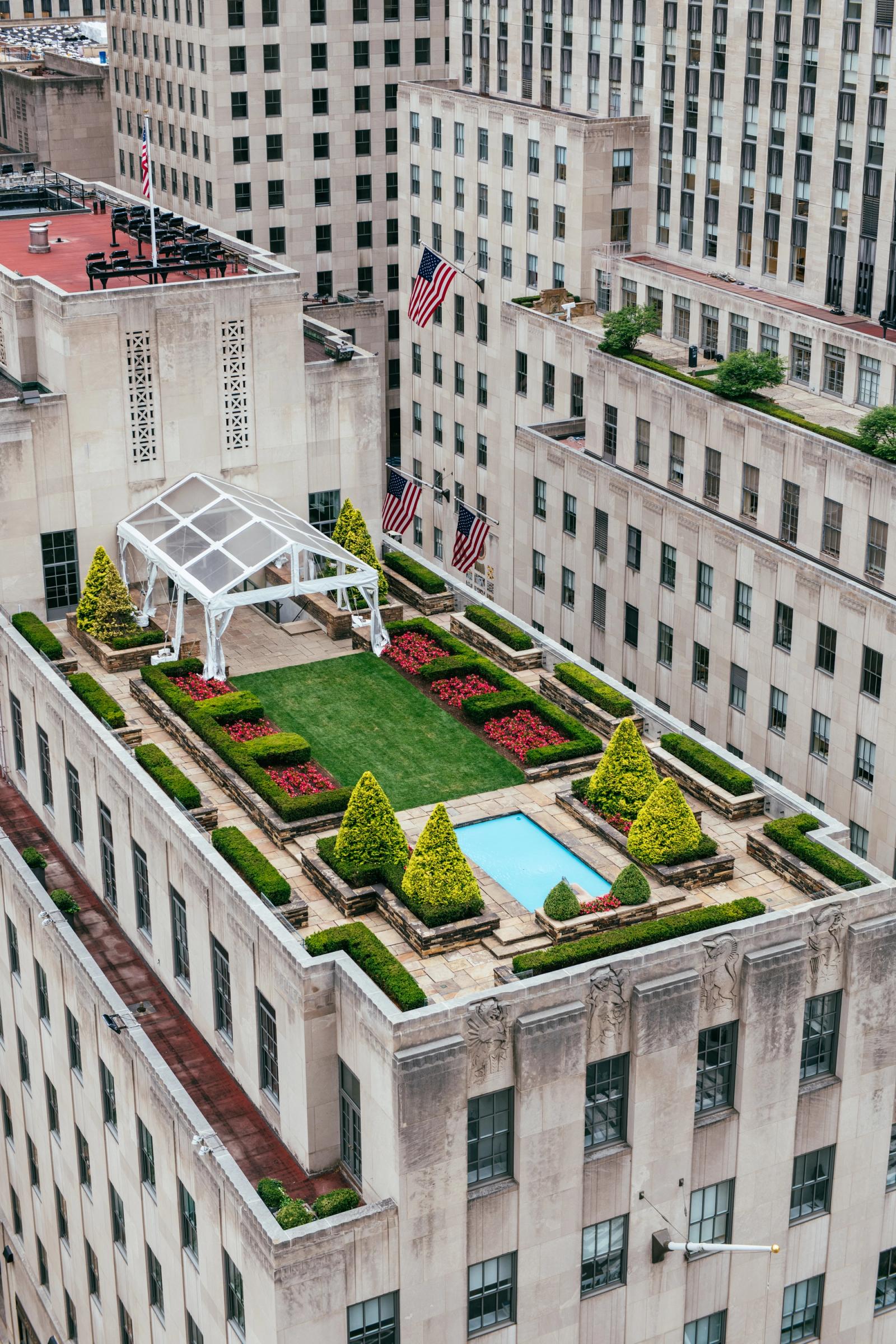 rooftop garden in city