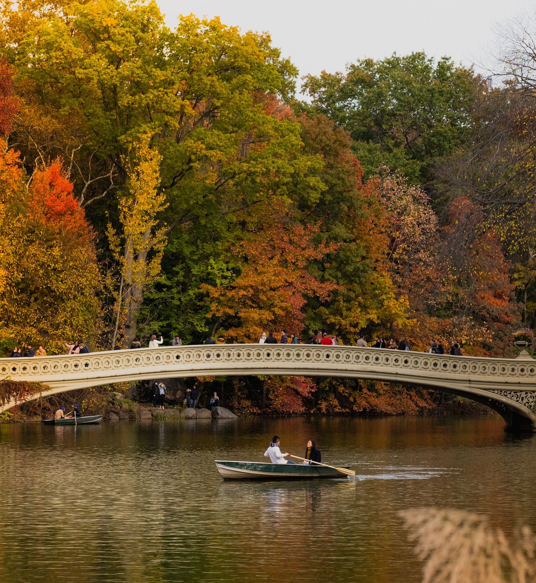 7 Best Things to Do in NYC in November 2023 | Fall Events in New