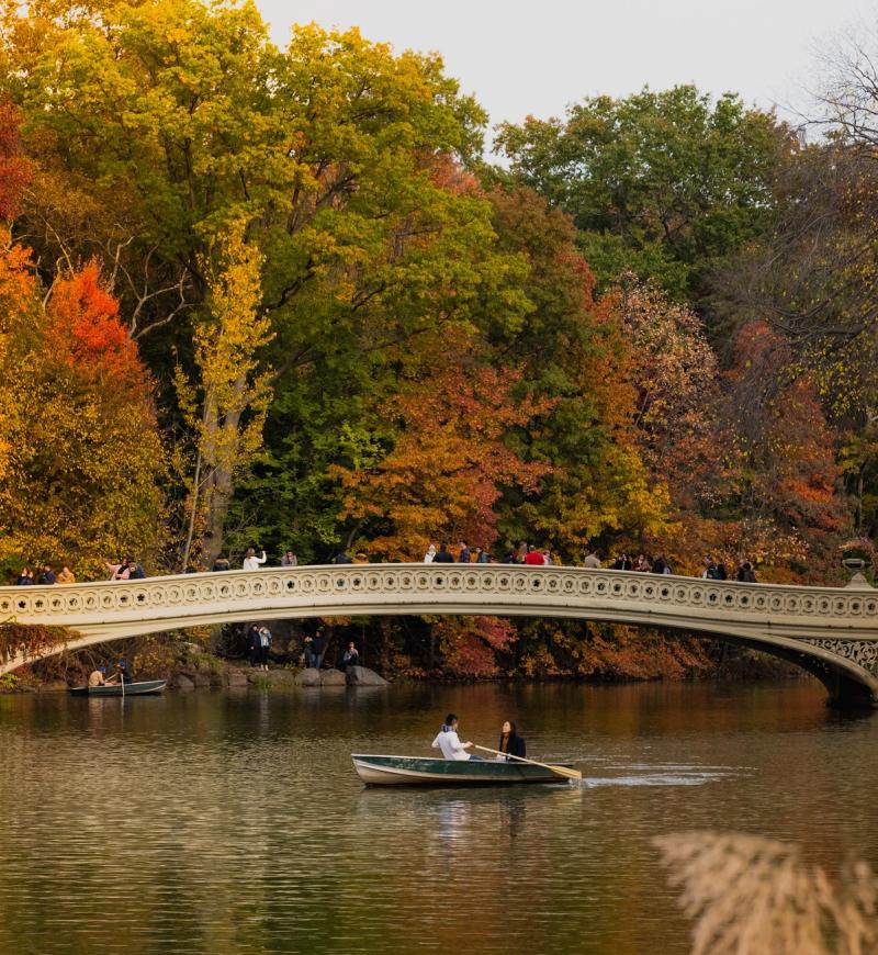 Bow Bridge at Central Park in the fall