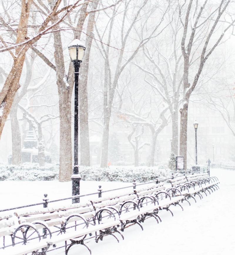Snowfall in Central Park