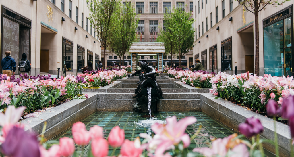 The 2021 spring installation at the channel gardens featuring more than 500 white and pink Easter lilies and more than 1,000 tulips in five different colors, as well as daffodils, Spanish bluebells, hyacinths, English daisies, and pansies