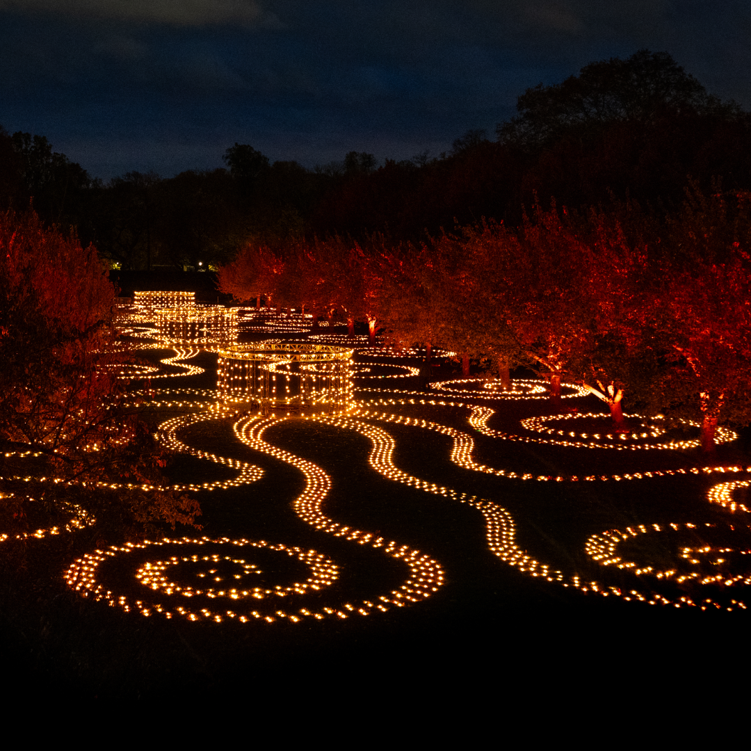 Brooklyn Botanic Garden Lightscape