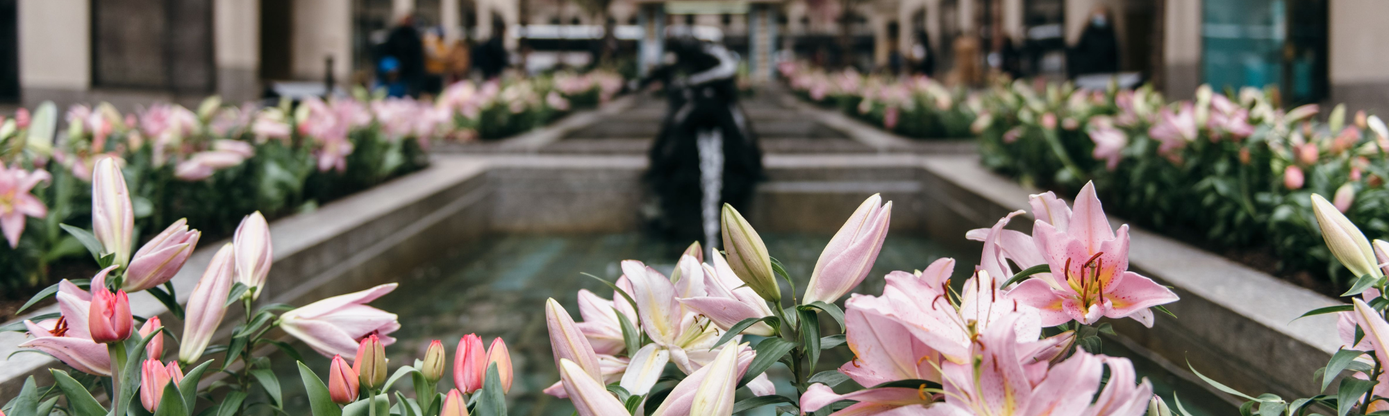 flowers in the channel gardens