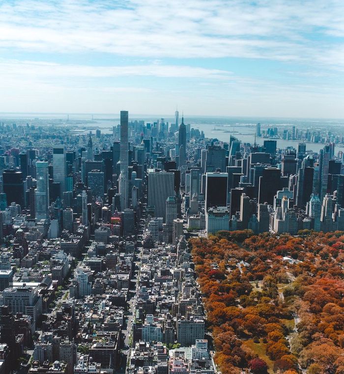 Aerial view of New York City in the fall