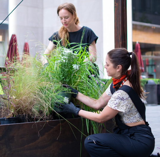 Julia Watson and Marie Salembier working on the rewilding project at Rockefeller Center