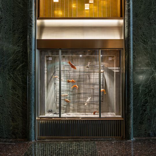 Vitrine by artist Dominique Fung on display at 45 Rockefeller Plaza