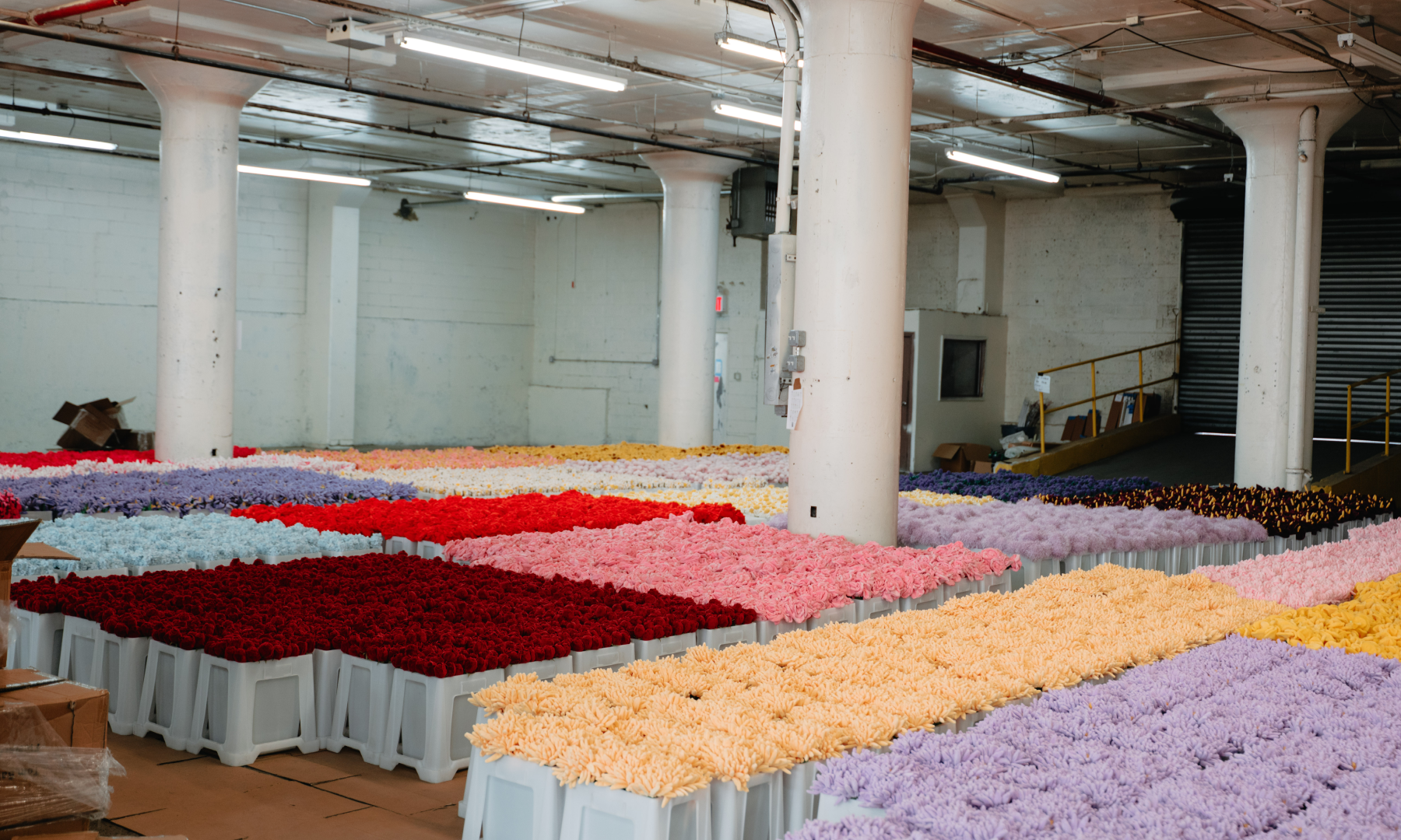 Rows of Cj Hendry's plush flower designs in a warehouse