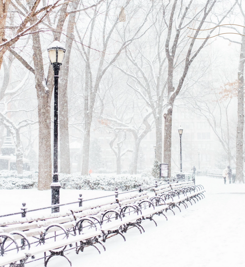 Snowfall in Central Park
