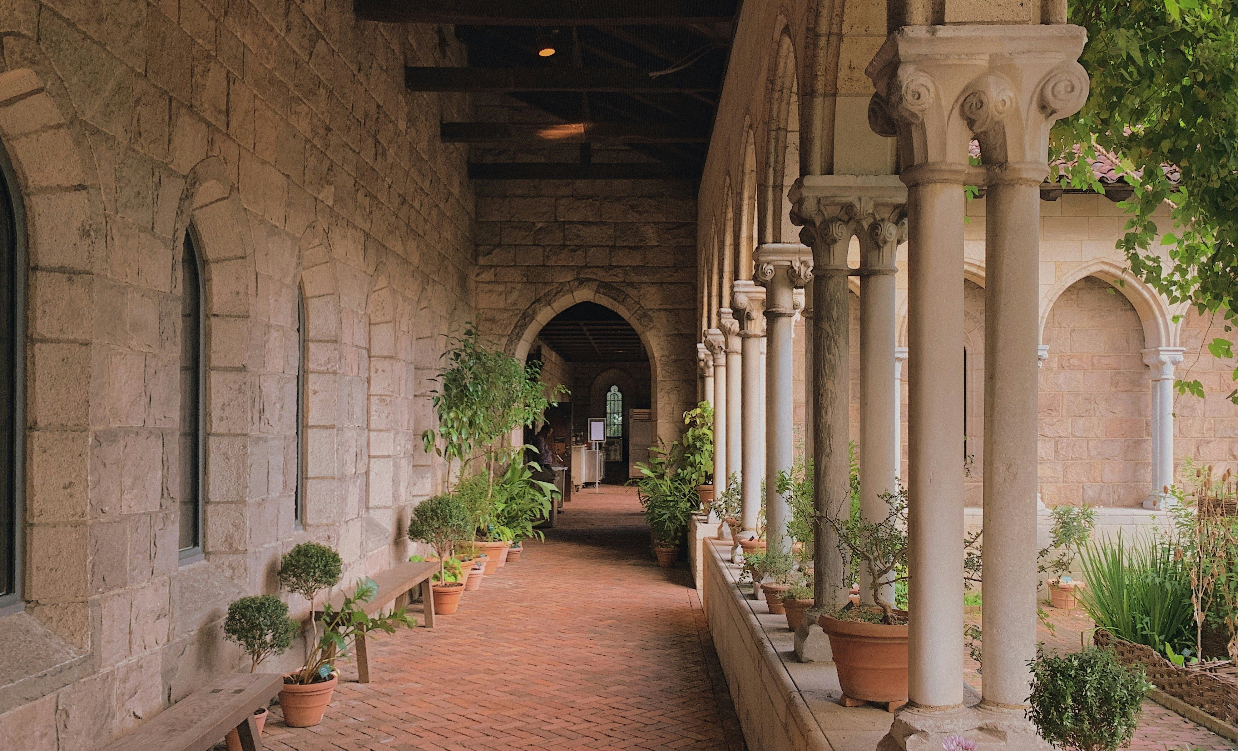 A stone arcade at The Met Cloisters, lined with potted plants.
