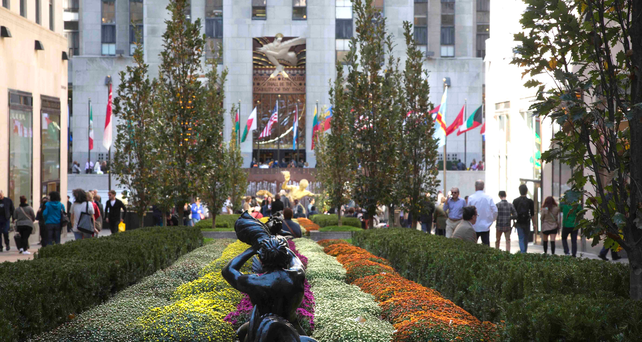 Colorful flowers filled the gardens for the Mums the Word installation