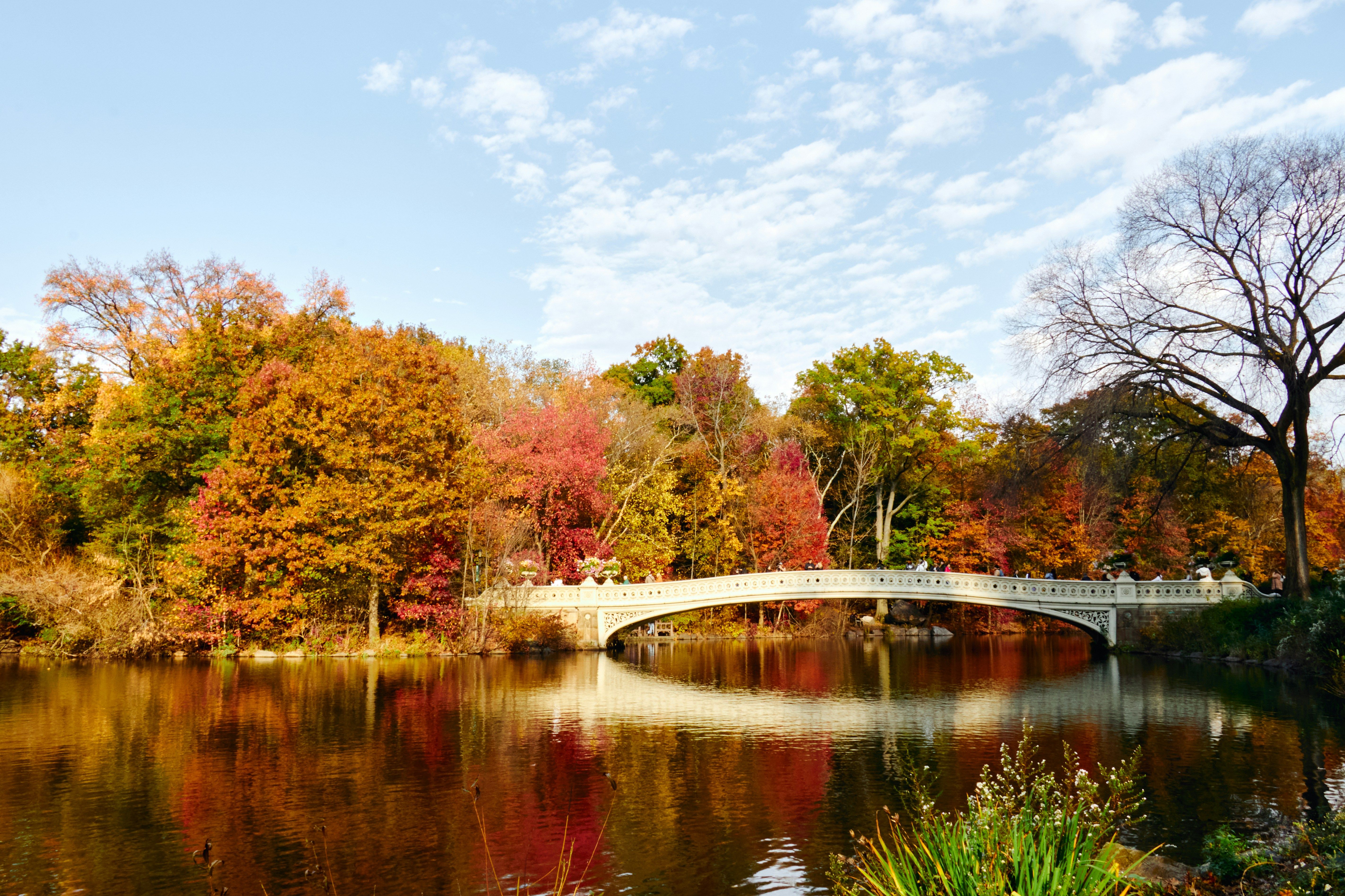 The Bow Bridge in Central Park in Autumn