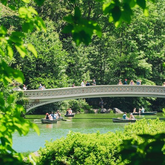 Bow Bridge in Central Park