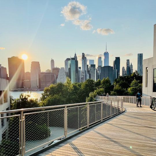 View of New York City from Brooklyn Bridge Park