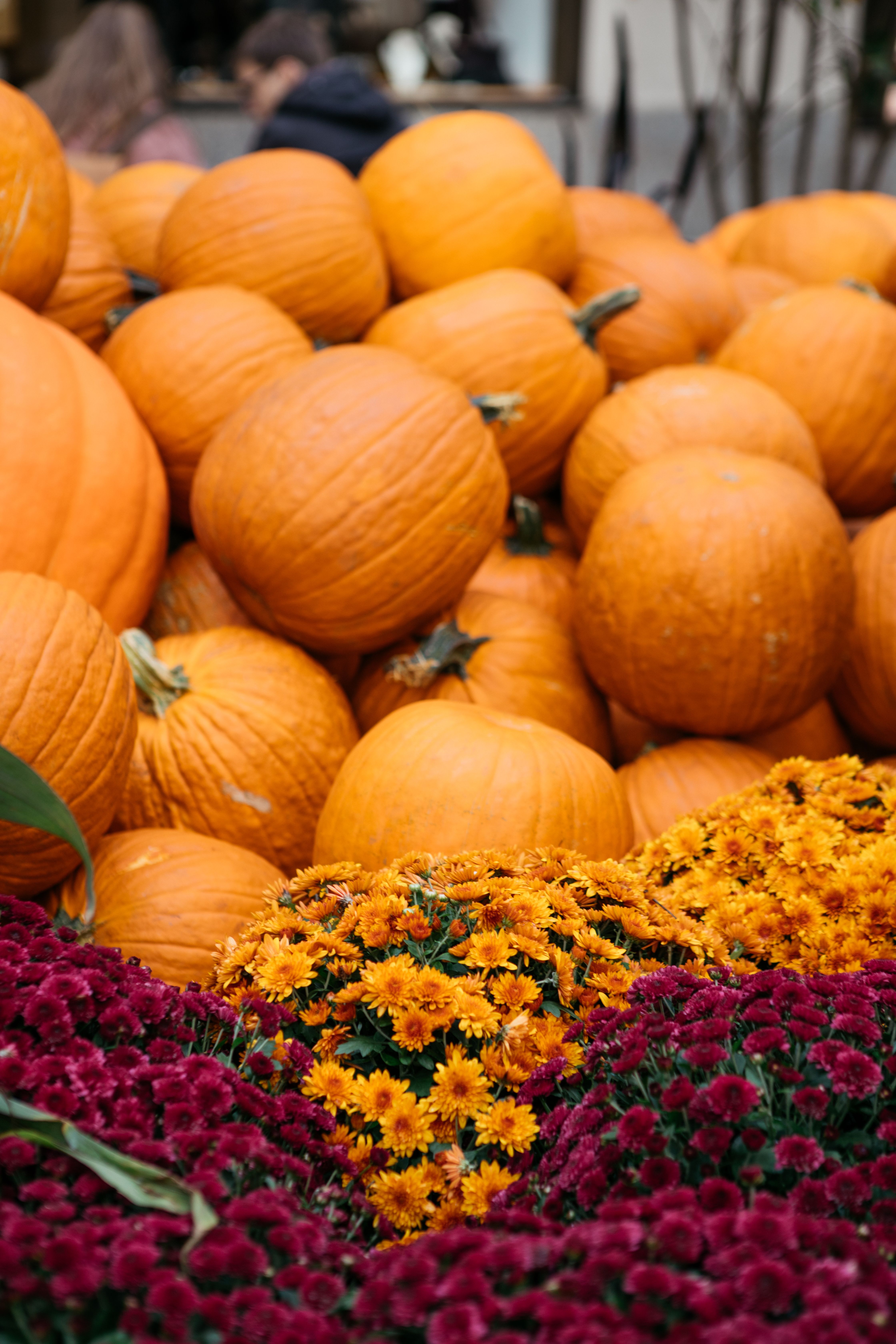 pumpkins and flowers