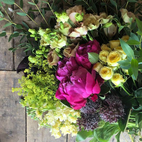 Best Flowers to Give for Any Occasion — Housewarming, Mother’s Day