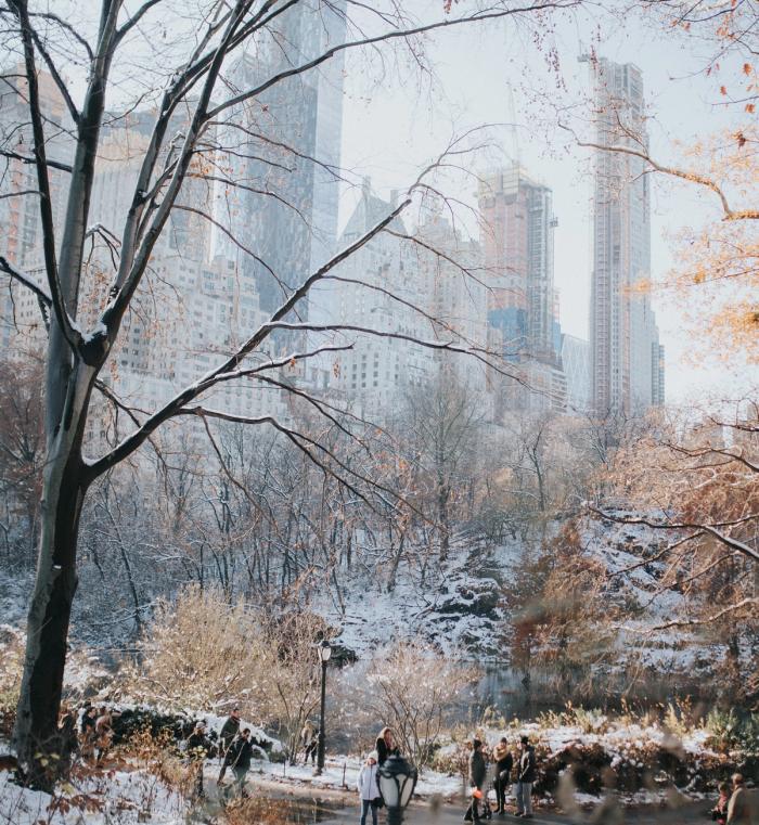 Central Park covered in snow