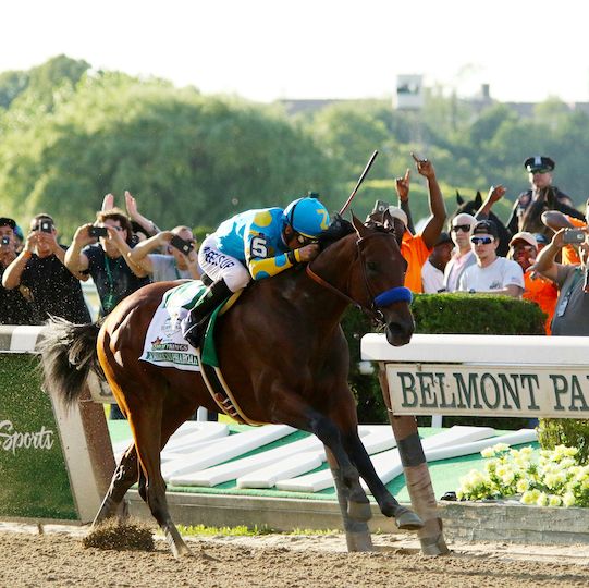 Horse racing at the Belmont Stakes