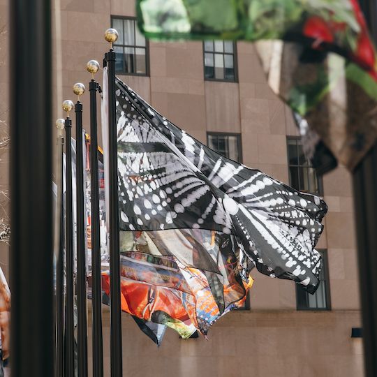 Flags on display at Rockefeller Center