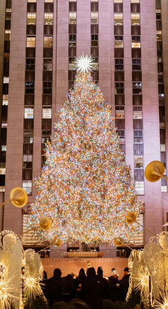 submit-your-tree