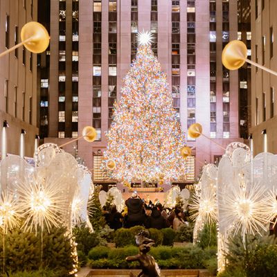The Holidays